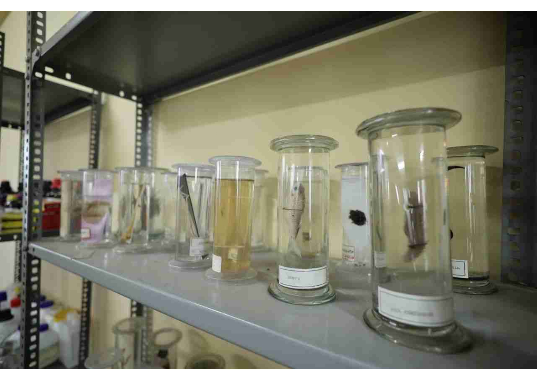 Document 53_page-0007